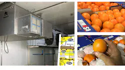 Refrigeratedtransporter 3581 Forrester Estate Photo