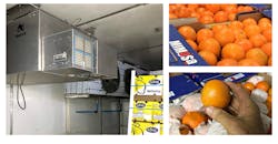 Refrigeratedtransporter 3581 Forrester Estate Photo Refrigeratedtransporter 3581 Forrester Estate Photo