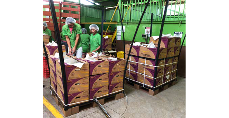 Refrigeratedtransporter 3593 Bc Exporters Packing House