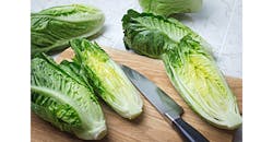 Refrigeratedtransporter 3601 Romaine Lettuce Photo 1 Refrigeratedtransporter 3601 Romaine Lettuce Photo 1