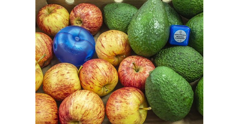 Refrigeratedtransporter 3701 Impactrack Logger