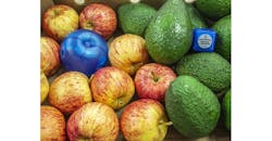 Refrigeratedtransporter 3701 Impactrack Logger Refrigeratedtransporter 3701 Impactrack Logger