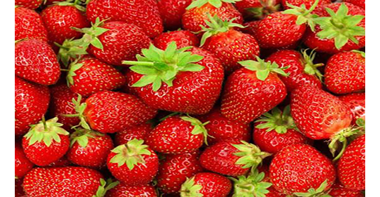 Refrigeratedtransporter 3708 Strawberries