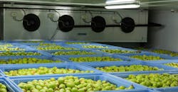 Refrigeratedtransporter 3794 Rt Captemp Temperature Recording 2 Refrigeratedtransporter 3794 Rt Captemp Temperature Recording 2