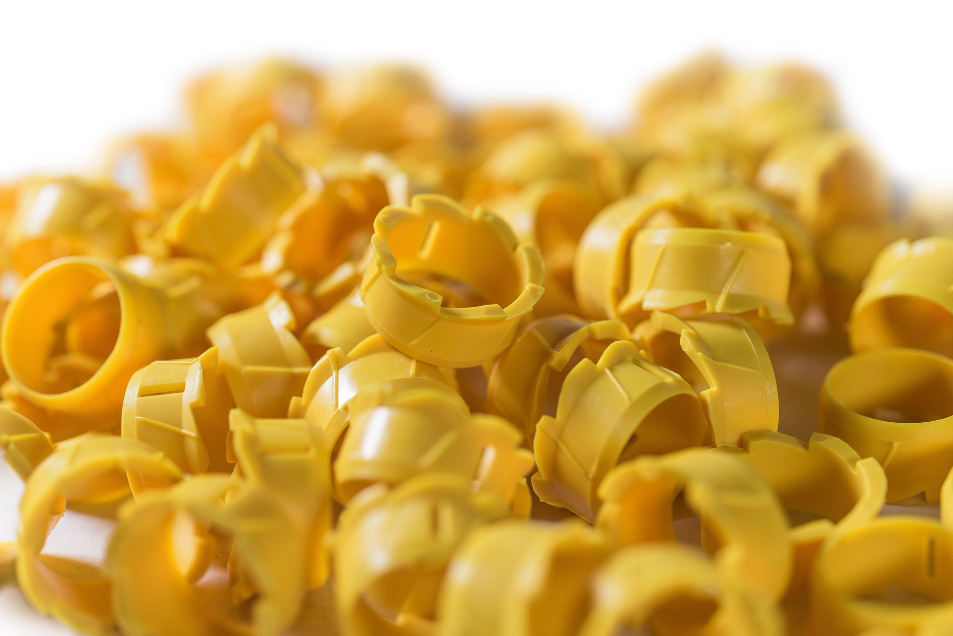 041919 30631-group-WCS-hi.jpg