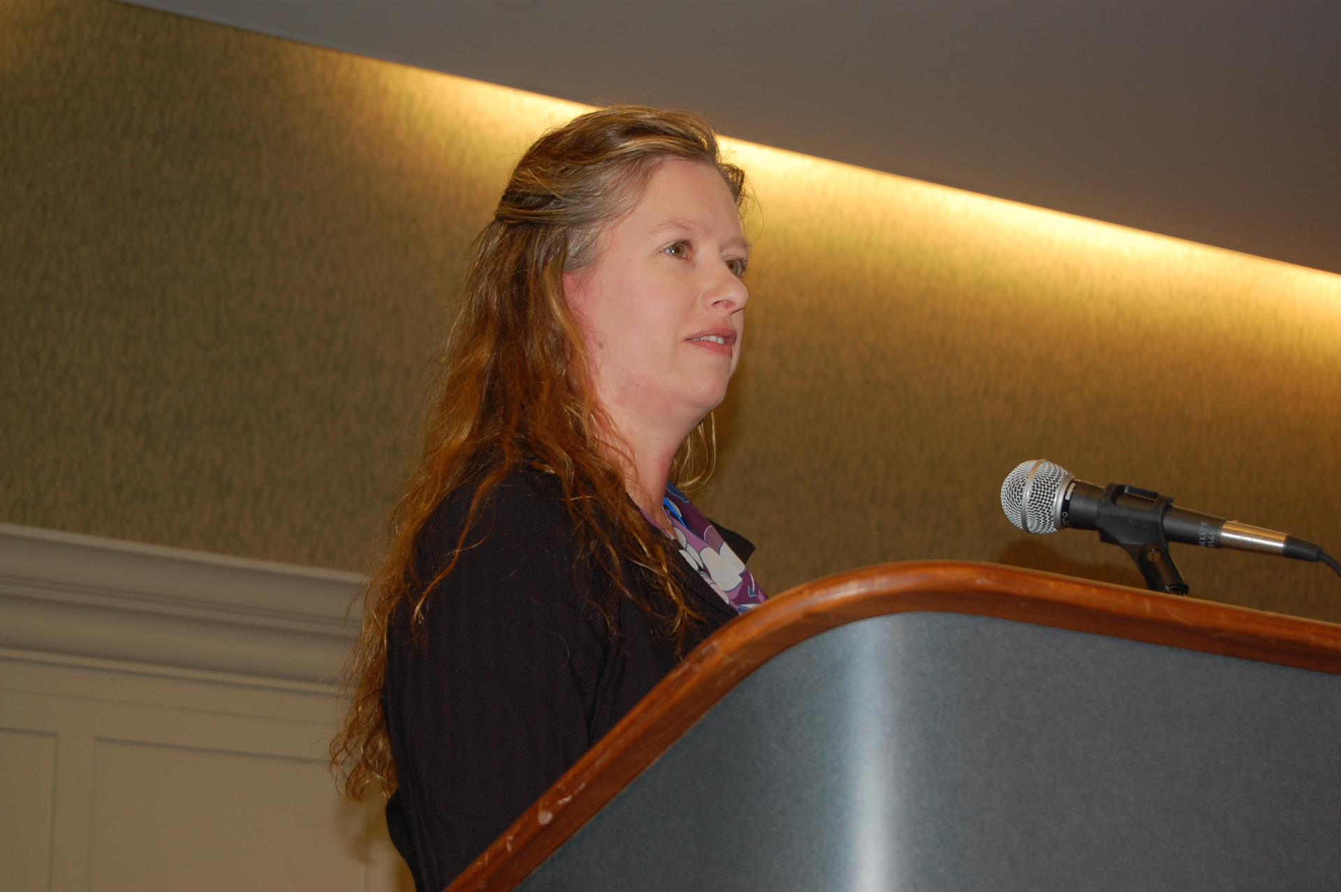 DTNA39s Kopin also expressed concern that sticker price increases due to the new Phase 2 GHG rules could trigger a prebuy