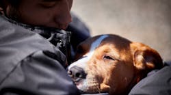 &apos;The use of a trained service dog can be a reasonable accom&shy;modation,&rdquo; said Gregory Gochanour, EEOC regional attorney for the Chicago District. &ldquo;Employers must provide reasonable accommodations to an employee with a disability.&apos;