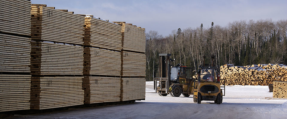 quotIf a tariff means a reduction in imported wood and more production of wood in the state of Minnesota and the Midwest then that will certainly increase the market for our loggers and truckersquot mdashScott Dane executive director of the Associated Contract Loggers and Truckers of Minnesota Photo courtesy of the Hedstrom Lumber Co