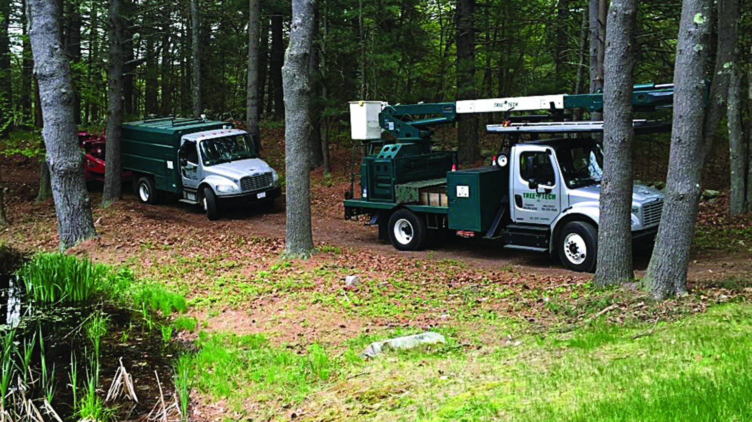 Hightech trucks and telematics help give Tree Tech an edge says founder Andy Felix