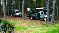 Hightech trucks and telematics help give Tree Tech an edge says founder Andy Felix Hightech trucks and telematics help give Tree Tech an edge says founder Andy Felix