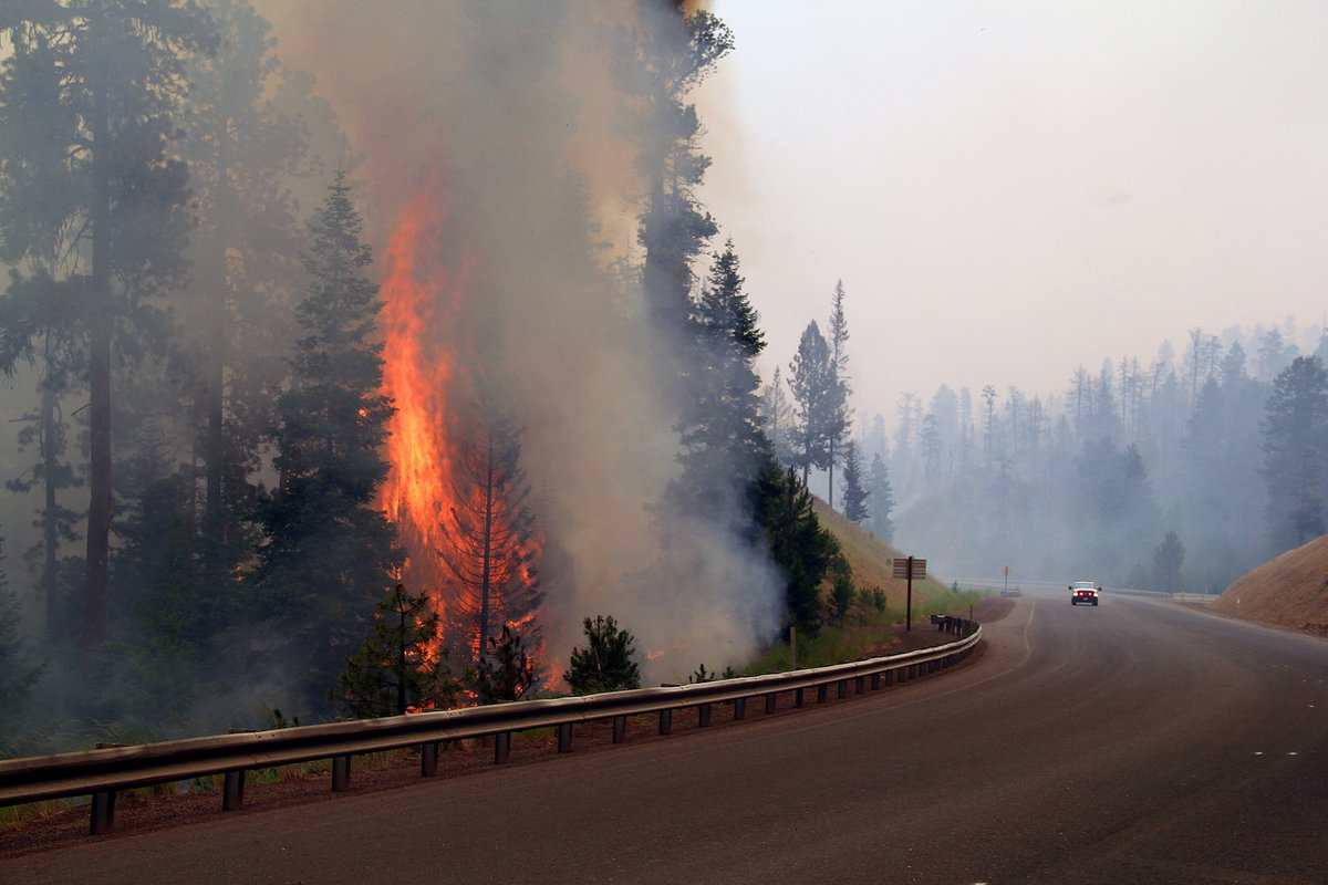 While much of the nation39s attention has been focused on hurricanes wildfires have burned more than 8 million acres of land across the west coast Photo Oregon DOT