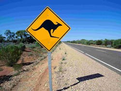 Kangaroo Sign Kangaroo Sign