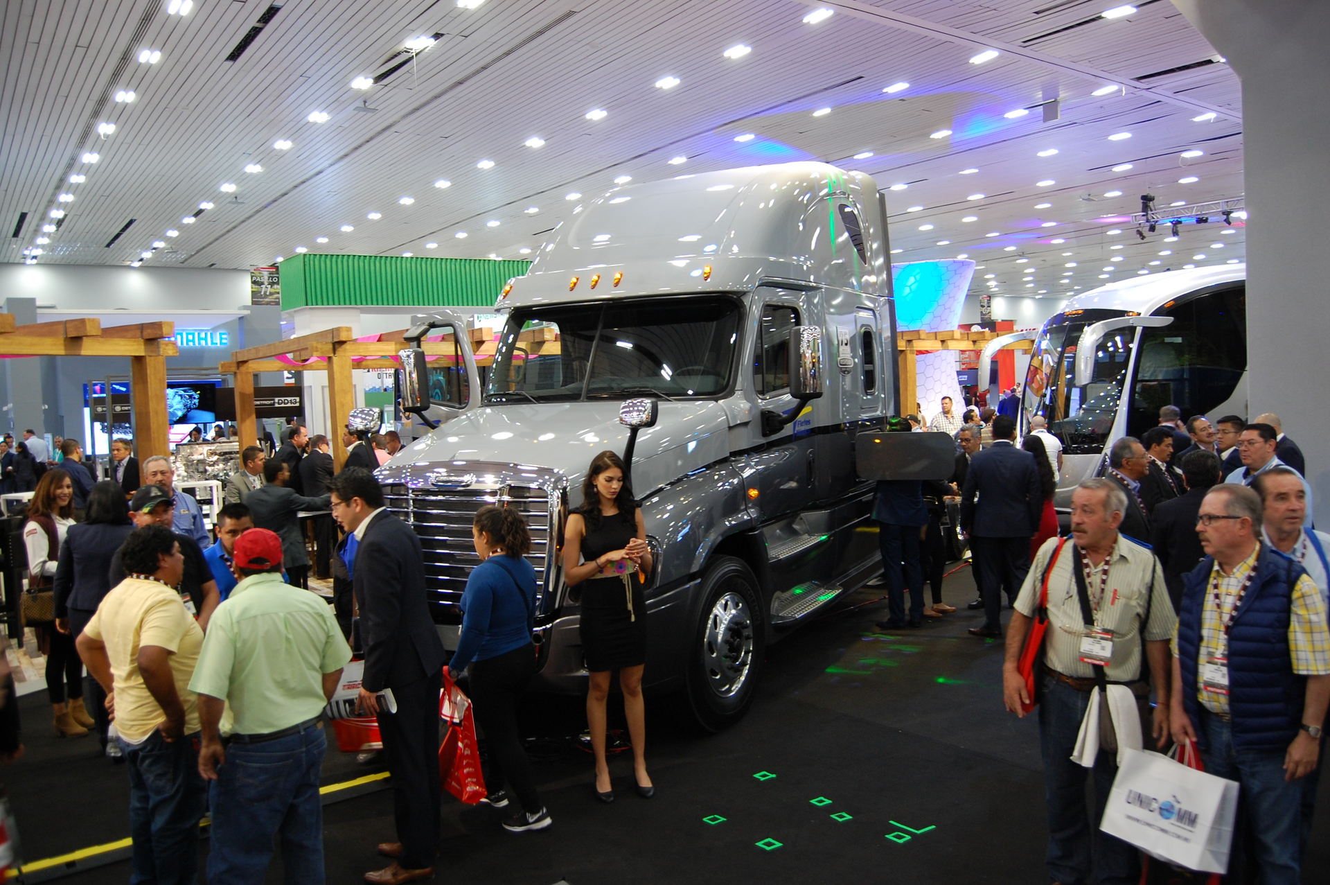 DTexpo