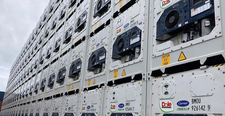 Refrigeratedtransporter 4036 Gt Dole Press Release Reefer Image