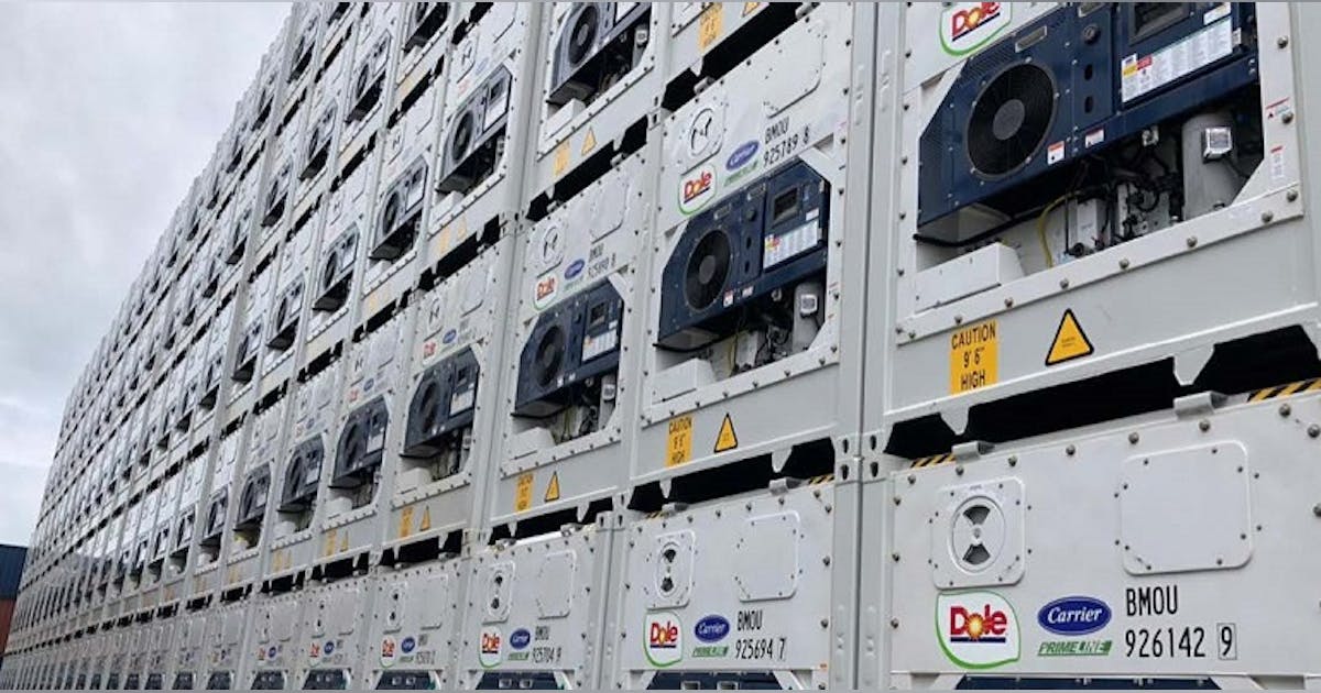 Globe Tracker enables IoT tracking on Dole's reefers | FleetOwner