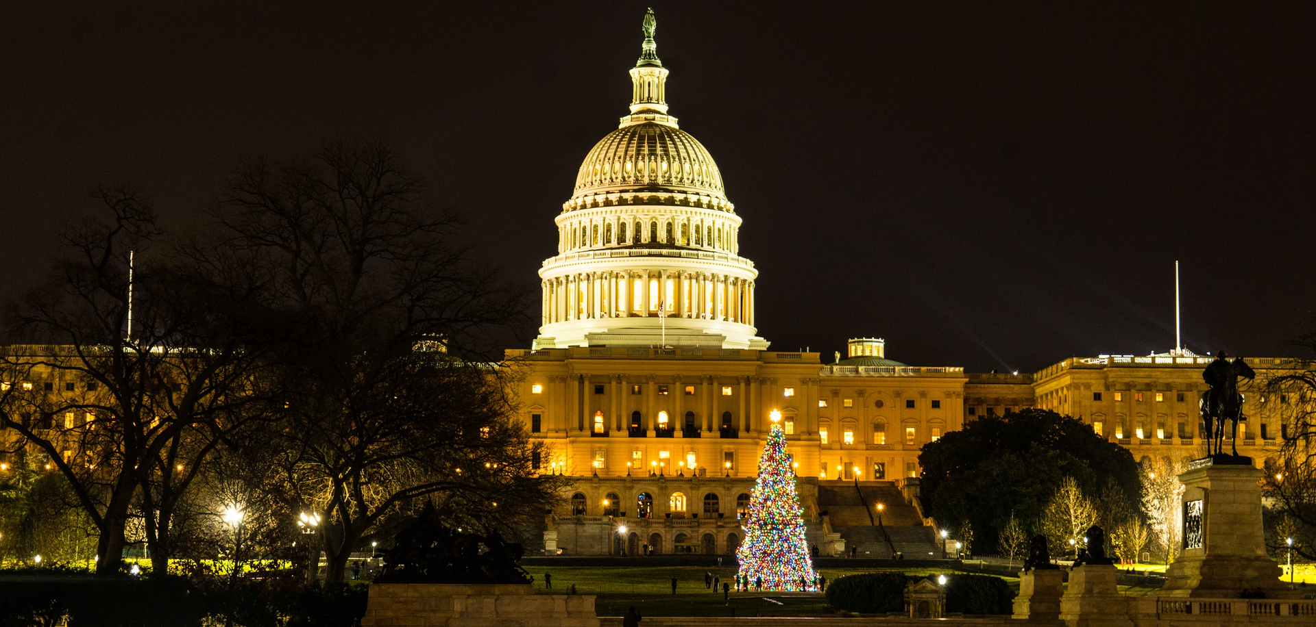 Capitol Christmas Tree