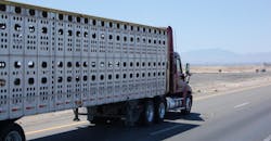 The current ELD waiver for livestock haulers expires on March 18. (File photo)
