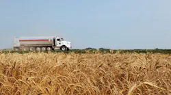 Cenex wheat field