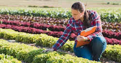 Refrigeratedtransporter 4076 Produce Safety Farmer Inspection Lettuce Farm Fsma