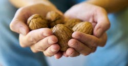 Refrigeratedtransporter 4136 Walnut 3658645 1920 Refrigeratedtransporter 4136 Walnut 3658645 1920