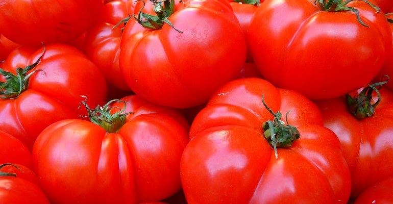 Refrigeratedtransporter 4154 Tomatoes 5356 Cropped