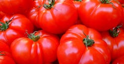 Refrigeratedtransporter 4154 Tomatoes 5356 Cropped Refrigeratedtransporter 4154 Tomatoes 5356 Cropped