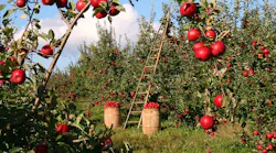 Refrigeratedtransporter 4418 Fda Fsma Produce Safety Photo From Pixabay
