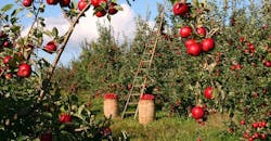 Refrigeratedtransporter 4418 Fda Fsma Produce Safety Photo From Pixabay Refrigeratedtransporter 4418 Fda Fsma Produce Safety Photo From Pixabay