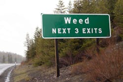 101519 marijuana roadway exit.jpg 101519 marijuana roadway exit.jpg