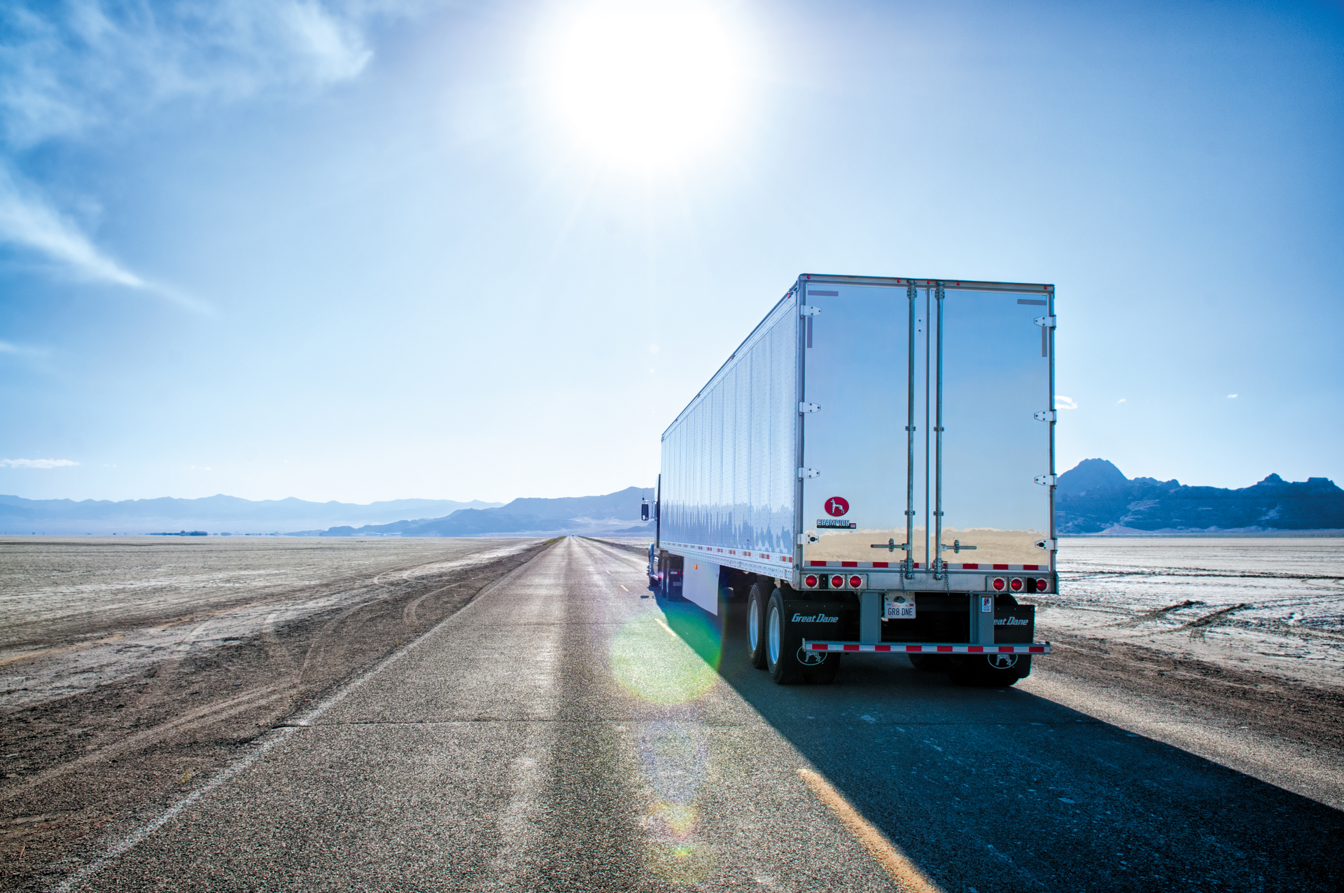 112019 Great Dane Champion3.jpg