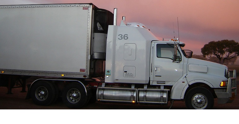 Sunteck Tts Reefer Truck Cropped Main 5dfb7f4106750