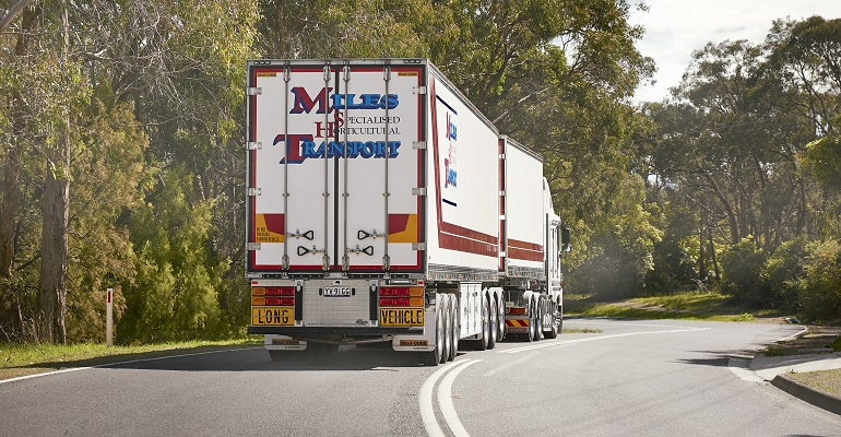 Refrigeratedtransporter 4703 Maxitrans Maxi Cube Miles Transport 1