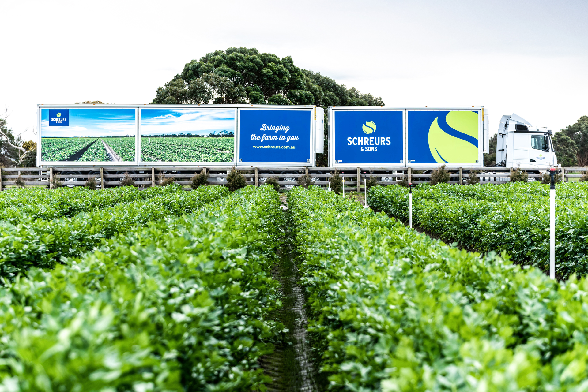 Maxi Trans Schreurs Sons 1 5e29d0294d32f