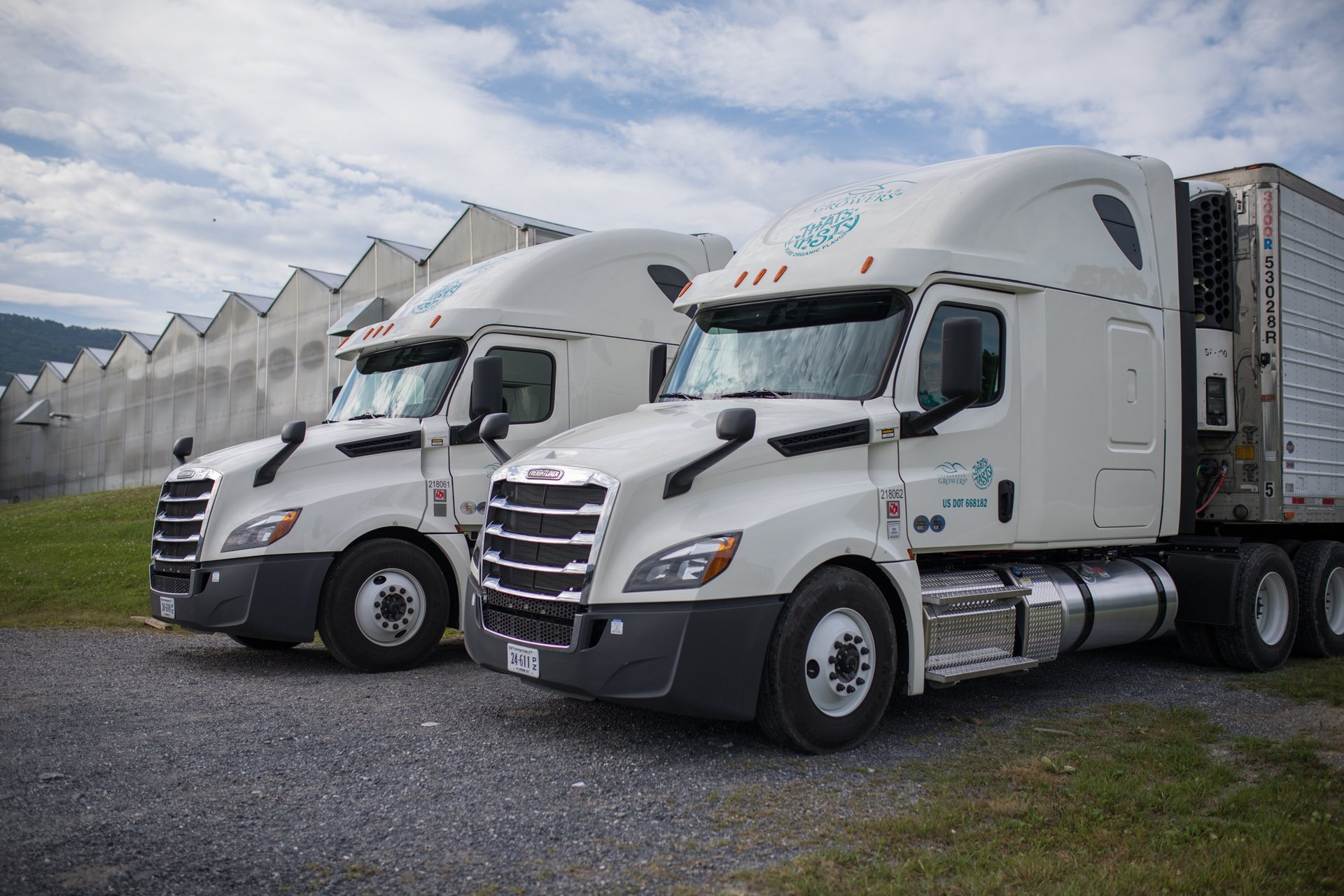 Shenandoah Growers 5e3b4abb08aeb