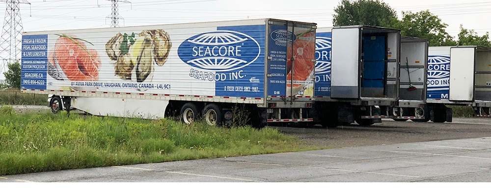 Seacore Trailer 2018 Web 5e6655bb1f276