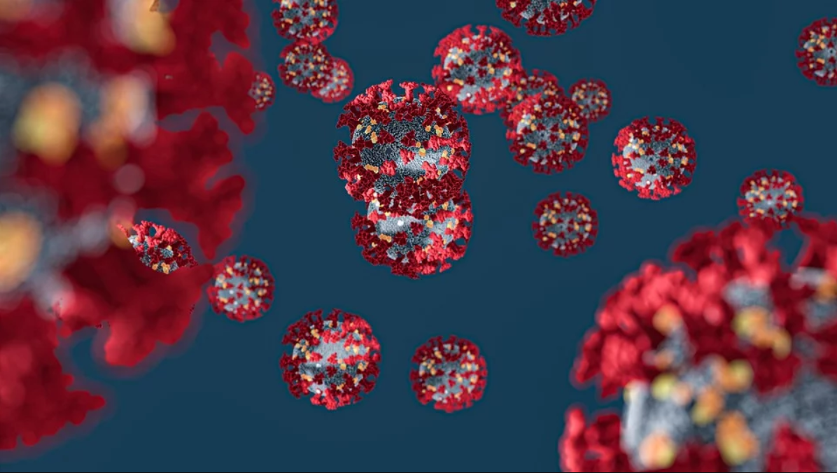 Coronavirus 5e7b67756b236