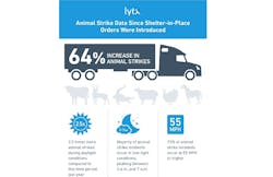 Animal Strike Data Infographic Copy Animal Strike Data Infographic Copy