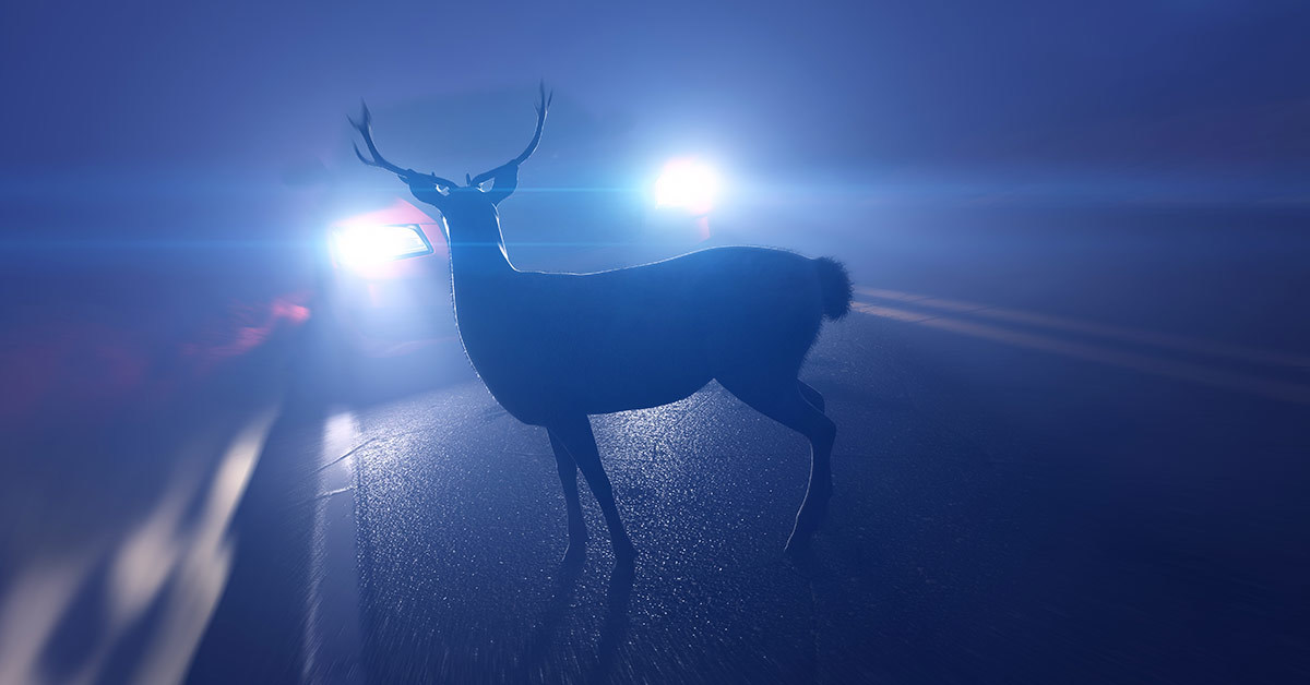 Lytx Data 5eb2dc8f032d9