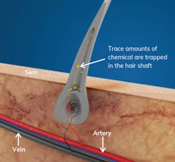 Trace Amounts 1 450x416 Trace Amounts 1 450x416