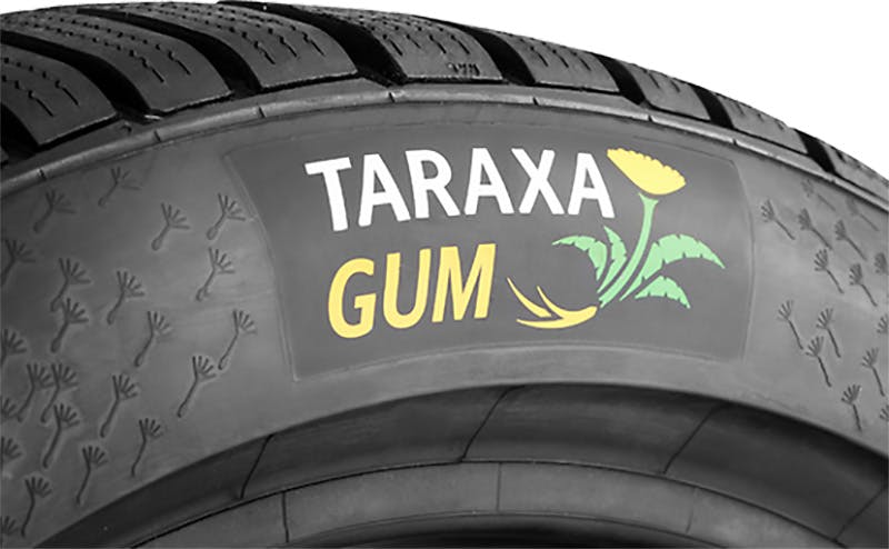 Continental is developing a way to source rubber from dandelion roots.