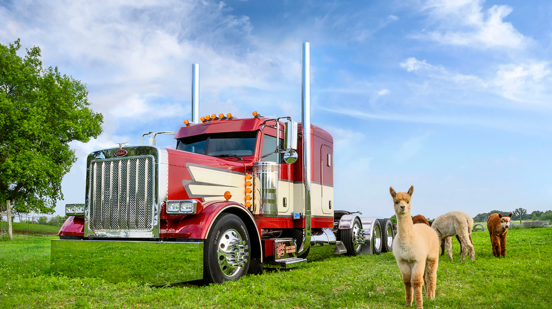 2020 Virtual Super Rigs Photo 5f31483928c71