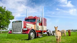 2020 Virtual Super Rigs Photo 5f31483928c71 2020 Virtual Super Rigs Photo 5f31483928c71