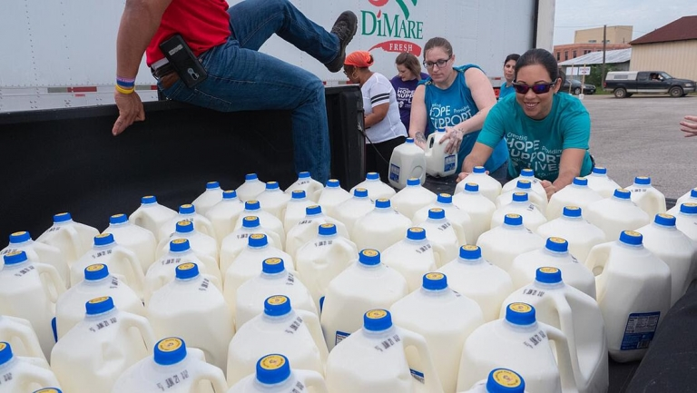 Dairy Max Unnamed 2 10 768x433 5f36a6c296f48