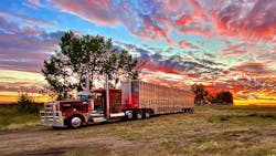 Omilusik Sunset Truck