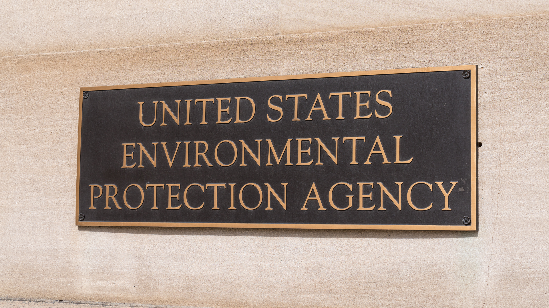 Epa Dreamstime Xxl 113230993 Paul Brady Via Dreamstime 5fa943fe45d31