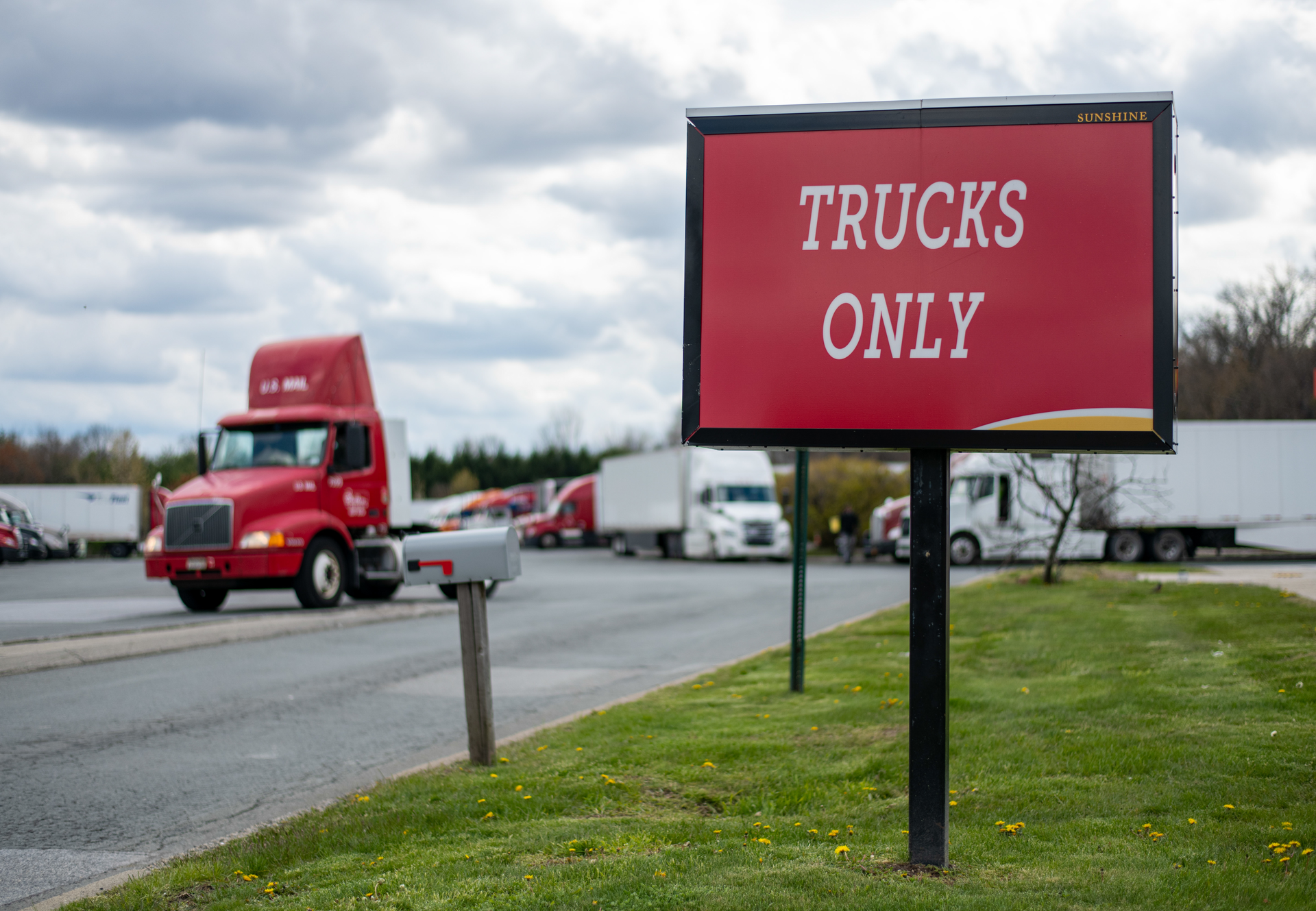 T Pecoroni 4 25 20 1779 Edited 5fff46ea0fb95