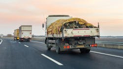 Trucking Christmas Trees Valentyna Gupalo Dreamstime 5fc8f7561eb77 Trucking Christmas Trees Valentyna Gupalo Dreamstime 5fc8f7561eb77