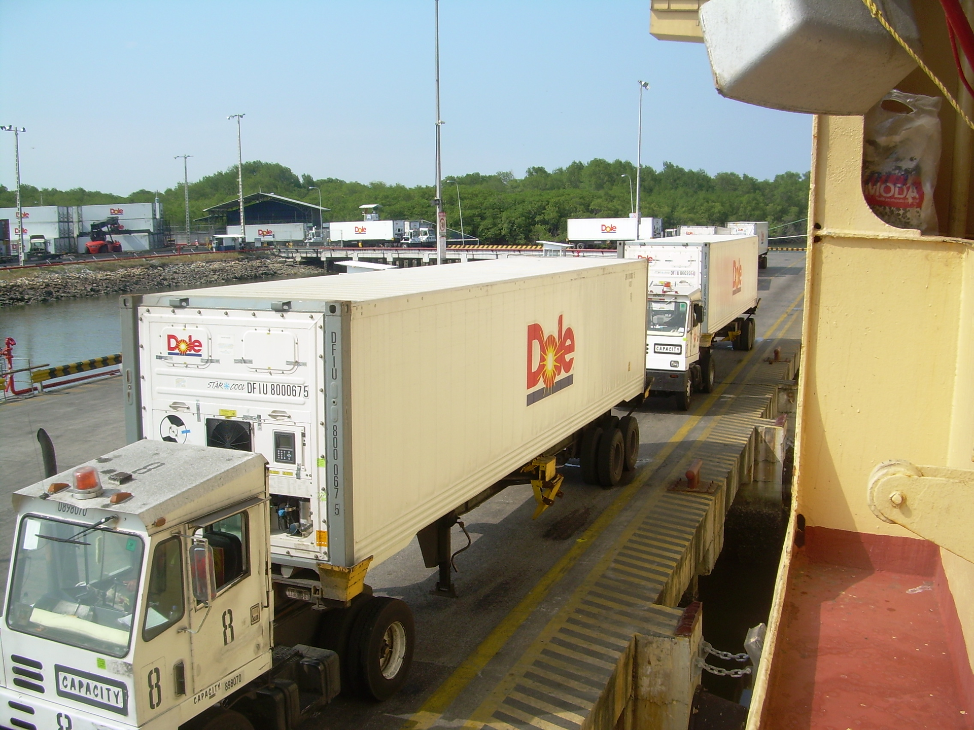 Dole Mci Star Cool 5fe0c3f947a1b