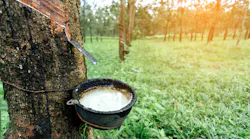 Natural Rubber Tree Peerapong Peattayakul Dreamstime