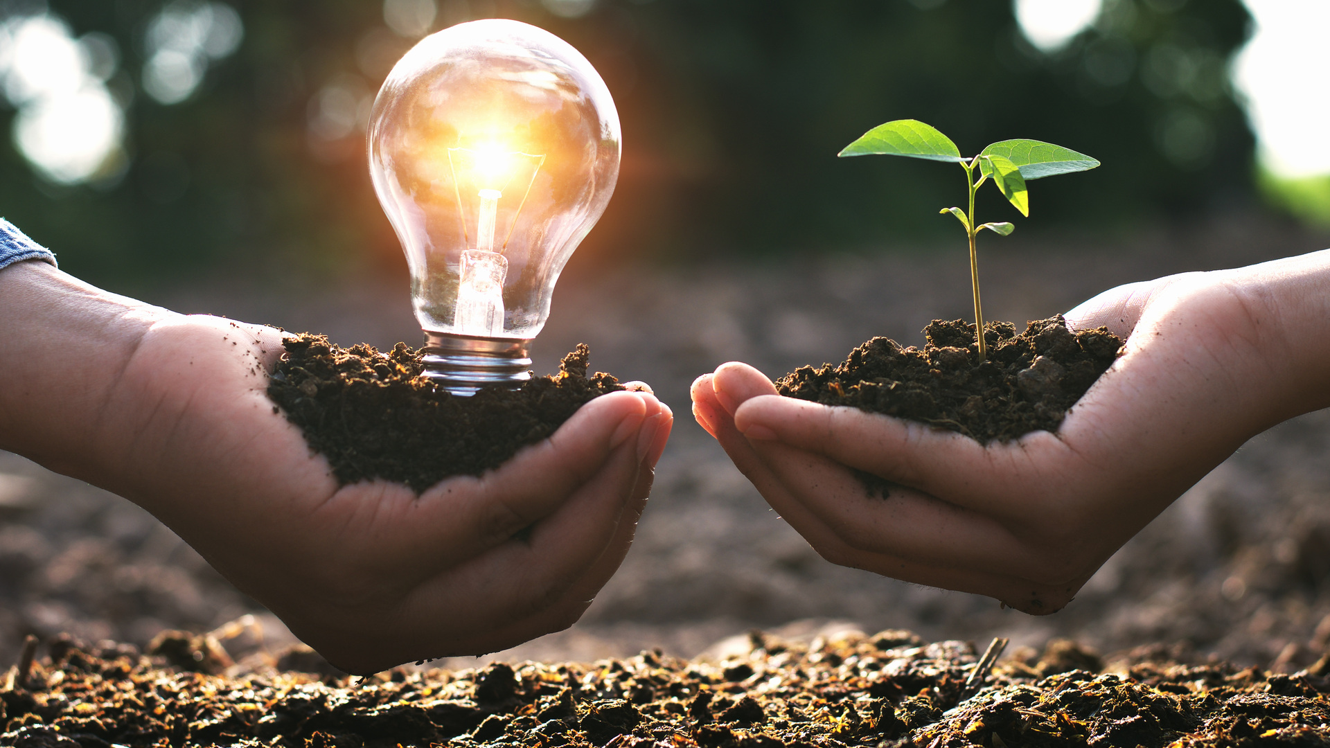 Clean Energy Lovelyday12 Dreamstime 60c8e7e5c4d62